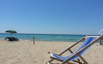 Estate 2023 Regolamento per il Distaccamento Balneare di Lido Conchiglie.